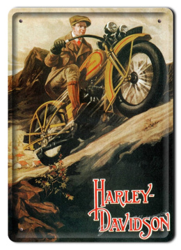 HARLEY DAVIDSON METALOWY SZYLD OBRAZEK RETRO #02231