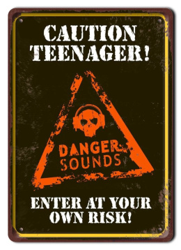 DANGER METALOWY SZYLD PLAKAT VINTAGE RETRO #08218