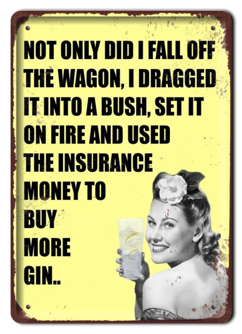 GIN DRINK METALOWY SZYLD PLAKAT VINTAGE RETRO #08497