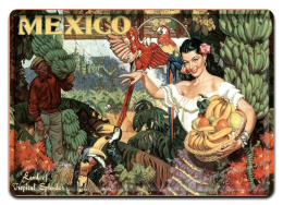 OWOCE MEXICO METALOWY SZYLD OBRAZEK RETRO #02133