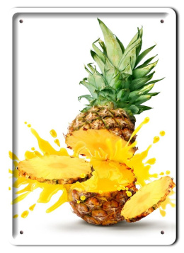 ANANAS METALOWY SZYLD PLAKAT OBRAZEK RETRO #10522