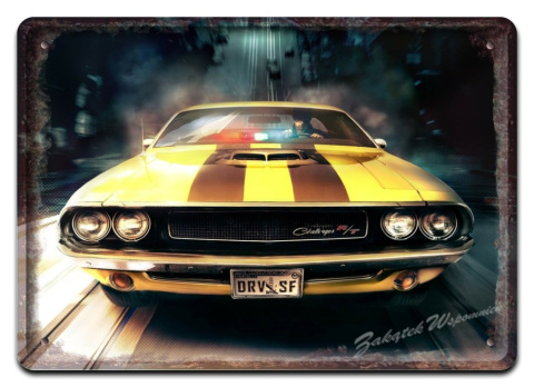 GARAGE METALOWY SZYLD PLAKAT OBRAZEK RETRO #02757