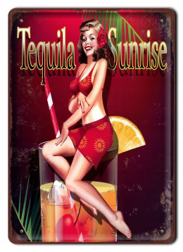 TEQUILA METALOWY SZYLD PLAKAT OBRAZEK RETRO #07751