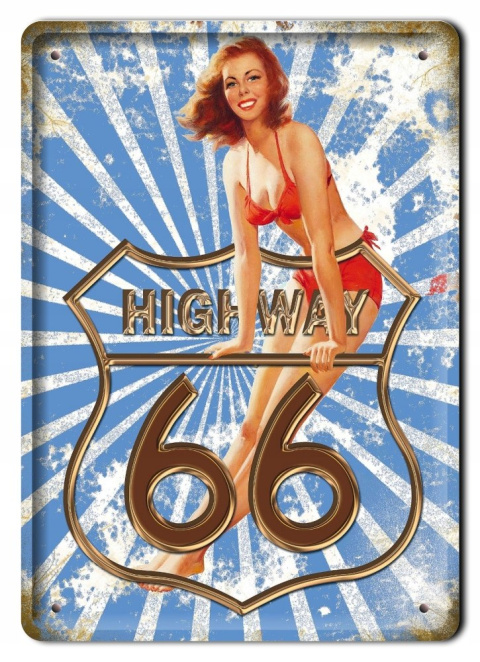 ROUTE 66 METALOWY SZYLD PLAKAT VINTAGE RETRO #07966