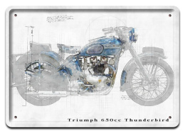 TRIUMPH PLAKAT METALOWY SZYLD OBRAZEK RETRO #21261