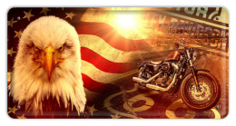 HARLEY SZYLD PLAKAT METALOWY OBRAZEK #12440