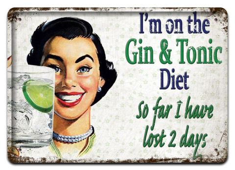 GIN & TONIC DRINK METALOWY SZYLD PLAKAT RETRO #07529